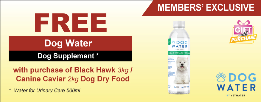 Dog Water Dog Supp Promo